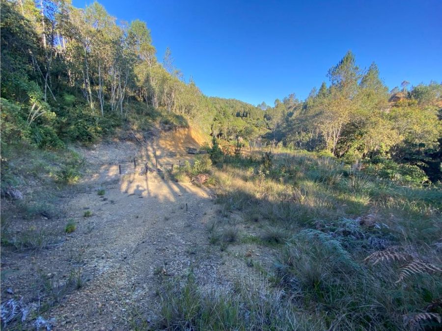 Residential Lot for Sale in Altos del Escobero